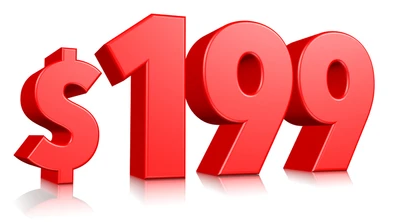 $199 Chip Repair